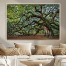 Historic Tree Wall Art – Framed Mossy Branch Canvas Artwork, by MyGreatCanvas | Canvas Wall Art Prints | Photo Prints & Wall Decor