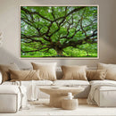 Angel Oak Tree Wall Art Canvas Print – Framed Majestic