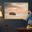 MyCanvas -