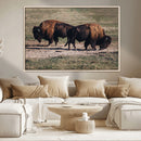 Bison Wall Art Canvas Print – Framed Western Wildlife Modern