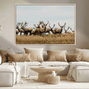 Elk Herd Wall Art Canvas Print – Framed Wildlife Photography by MyGreatCanvas | Canvas Wall Art Prints | Photo Prints & Wall Decor