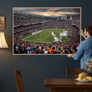 Chicago Bears Soldiers Field Wall Art Canvas Print – Framed