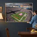 Chicago Bears Soldiers Field Wall Art Canvas Print – Framed
