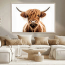 Scottish Highland Cow Canvas Print, Framed Highland Cow