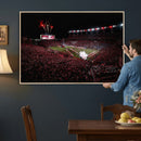 William Brice Stadium Wall Art Print – Baseball Game Room