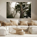 Misty Forest Wall Art Canvas Print, Tall Trees and Foggy by MyGreatCanvas | Canvas Wall Art Prints | Photo Prints & Wall Decor