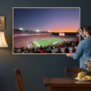 Dooley Stadium Wall Art, Sports Arena Canvas Print, Dooley