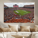 Jordan-Hare Stadium Wall Art Canvas Print, College Sports by MyGreatCanvas | Canvas Wall Art Prints | Photo Prints & Wall Decor