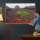 Jordan-Hare Stadium Wall Art Canvas Print, College Sports