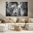 Wild Old Elephant Wall Art Canvas Print
