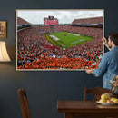 Auburn Stadium Wall Art Canvas Print, Jordan Hare Stadium by MyGreatCanvas | Canvas Wall Art Prints | Photo Prints & Wall Decor