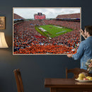 Auburn Stadium Wall Art Canvas Print, Jordan Hare Stadium