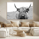 Newfoundland Cow Art Wall Art, Black White Cow Art Wall Art