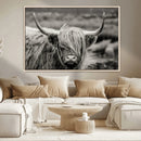Cow Focus Canvas Wall Art Print by MyGreatCanvas | Canvas Wall Art Prints | Photo Prints & Wall Decor
