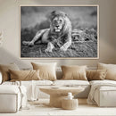 King Forest Lion Wall Art Canvas Print – Framed Majestic by MyGreatCanvas | Canvas Wall Art Prints | Photo Prints & Wall Decor
