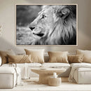 African Lion Wall Art Canvas Print – Majestic Wildlife