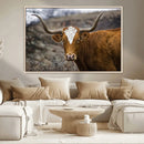 Texas Longhorn Canvas Wall Art - Longhorn Steer Canvas Wall