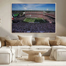 South Carolina Gamecocks Football Team Print - Columbia