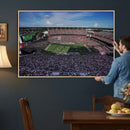 South Carolina Gamecocks Football Team Print - Columbia