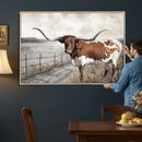 Vintage Texas Cow Wall Art Canvas Print, Rustic Longhorn
