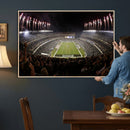 Eagles Field Stadium Wall Art - Philadelphia Eagles Football
