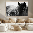 Black Horse in Snow Canvas Print | Winter Horse Wall Art |