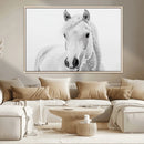 Majestic White Horse Wall Art | Ready to Hang and Framed |