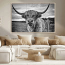 Scottish Highland Cow Wall Art Canvas Print | Ready to Hang
