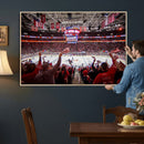 Carolina Hurricanes Ice Hockey Stadium Wall Art, Carolina
