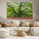 Framed Angel Oak Tree Wall Art - 3-Panel Canvas Prints,