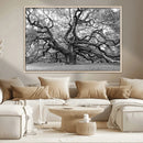 Black White Angel Oak Tree Wall Art - Timeless