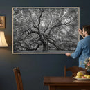 Majestic Angel Oak Tree Black and White Canvas Print – Multi by MyGreatCanvas | Canvas Wall Art Prints | Photo Prints & Wall Decor