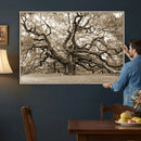 Sepia Framed Angel Oak Tree Wall Art - 3-Panel Canvas