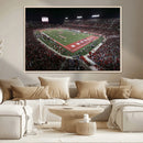 Houston Cougars Football Team Print - Houston TDECU Stadium