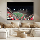 Houston Cougars Football Team Print - Houston TDECU Stadium by MyGreatCanvas | Canvas Wall Art Prints | Photo Prints & Wall Decor