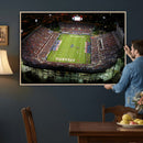 Florida Atlantic University Owls Football Team Print - Boca