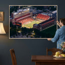 University of Illinois Fighting Illini Football Team Print -