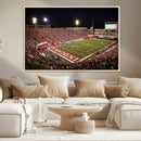 Indiana University Hoosiers Football Team Print Canvas