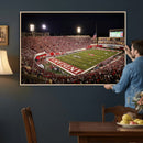 Indiana University Hoosiers Football Team Print Canvas