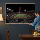 Framed Texas Tech Red Raiders Stadium Canvas, Texas Tech Red