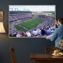 The Texas Christian University TCU Horned Frogs Football