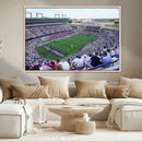 The Texas Christian University TCU Horned Frogs Football