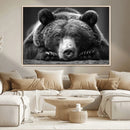 Resting Grizzly 399 Bear Canvas Print | Ready to Hang Wall