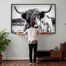 Black and White Scottish Cow Canvas Wall Art Highland Cattle