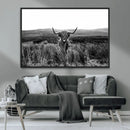Black and White Highland Cow Canvas Wall Art, Longhorn by MyGreatCanvas | Canvas Wall Art Prints | Photo Prints & Wall Decor