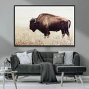 Bison in Field Wall Art Canvas Print For Farmhouse Barn