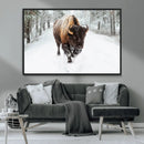 Bison Wall Art Canvas Print For Farmhouse, Animal Canvas