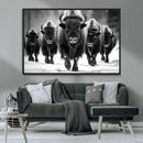 American Bison Art | Buffalo Herd Wall Art Canvas Print, BW