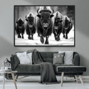 American Bison Art | Buffalo Herd Wall Art Canvas Print, BW