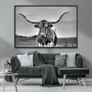 Texas Longhorn Cow Wall Art, Texas Longhorn Canvas, Cattle